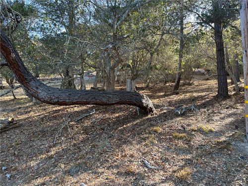 1818 Tweed Ave, Cambria, CA, 93428-4652 | Card Image