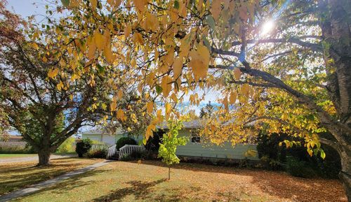 215 Dakota Street, Callaway, MN, 56521 | Card Image