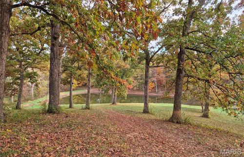 0 Highway D (15+/- Acres) Tract 11, Eolia, MO, 63344 | Card Image