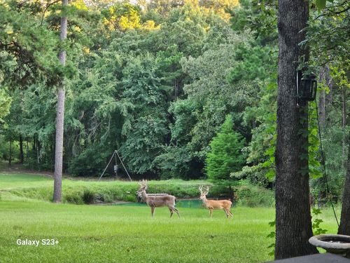 4491 S Fm 2869, Hawkins, TX, 75765-5323 | Card Image