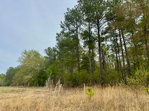 0 Goose Platter Road, Monetta, SC, 29105 | Card Image