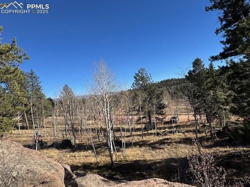 21 County Road 403, Guffey, CO, 80820 | Card Image