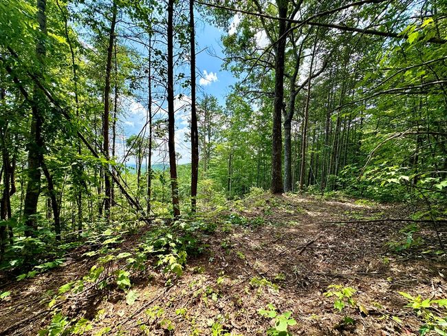 Lot 73 Mountain View Rd, Home with 0 bedrooms, 0 bathrooms and null parking in Ellijay GA | Image 14
