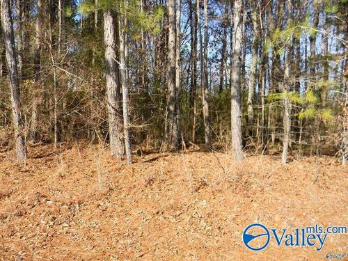 18.52 Acres County Road 41, Gaylesville, AL, 35973 | Card Image