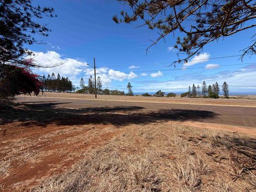 lot-439-439 Pu'Umalu St, Maunaloa, HI, 96770 | Card Image