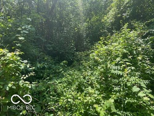2961 Opal St, Indianapolis, IN, 46268 | Card Image