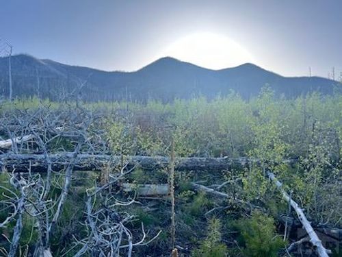 TBD Ellenz Rd, La Veta, CO, 81055 | Card Image