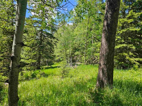 TBD Terry Peak Summit Rd, Lead, SD, 57754 | Card Image