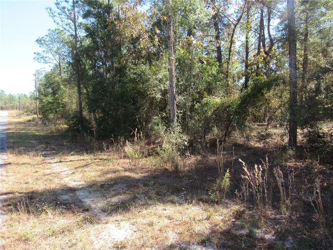 Available Now..One-Acre (.99) New Construction Site In Lovely Rainbow Lakes Estates In Dunnellon, FL. | Image 4