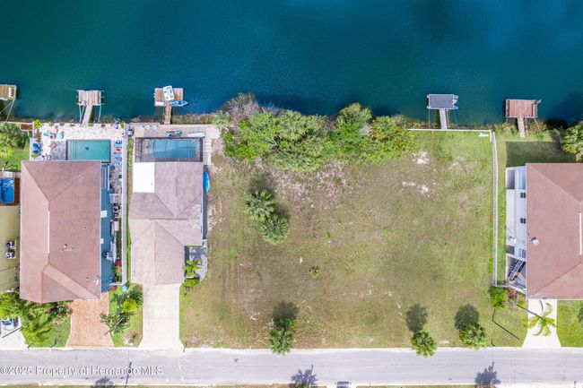 Bird's Eye View | Image 10
