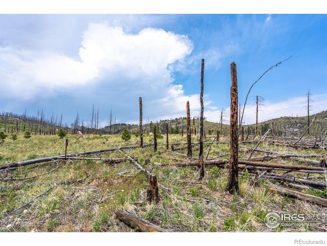 2384 Rist Creek Rd, Home with 0 bedrooms, 0 bathrooms and null parking in Bellvue CO | Image 21