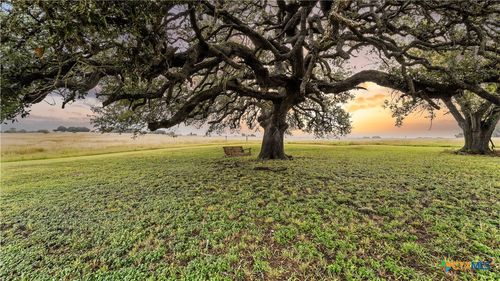 81 Private Road 3095, Shiner, TX, 77984-5313 | Card Image