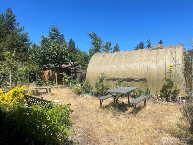 Check out this back yard. FULL of plants and trees | Image 22