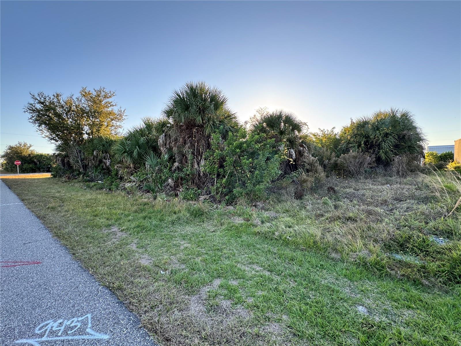 Land in PORT CHARLOTTE 4
