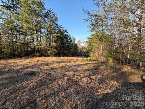 40-0 Shady Bark Ln, Rutherfordton, NC, 28139 | Card Image