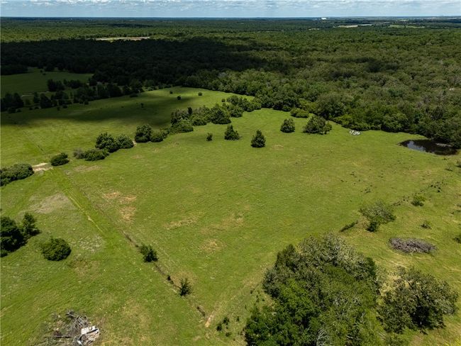 Overview of rural landscape featuring a forest | Image 13