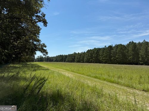 tract-6-0 Green Cypress Church Rd, Claxton, GA, 30417 | Card Image