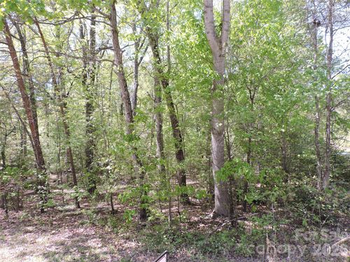 293 Manchester Road, Mount Gilead, NC, 27306 | Card Image