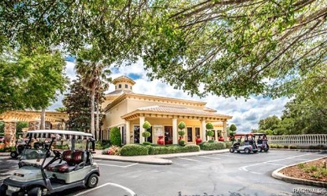 877 Silver Meadow Loop, House other with 3 bedrooms, 2 bathrooms and null parking in Hernando FL | Image 40
