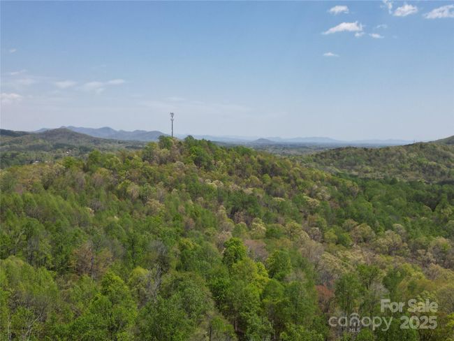 Lot 24 High Rock Rdg, Home with 0 bedrooms, 0 bathrooms and null parking in Lake Lure NC | Image 4