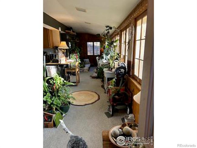 The current owner has maximized the warmth and sunlight of this room to grow gorgeous plants | Image 12