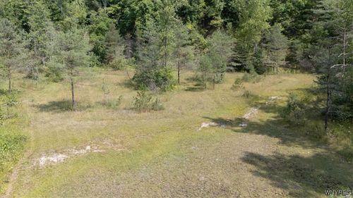 20 Knapp Road, Colden, NY, 14033 | Card Image