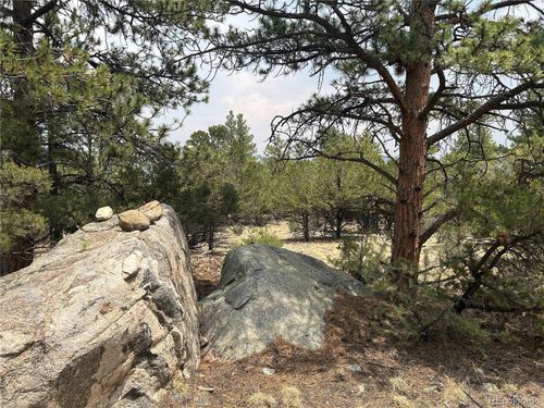 30160 Princeton Cir, Buena Vista, CO, 81211-8745 | Card Image
