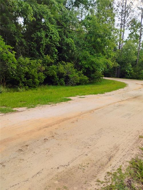 228 Atkins Rd, Georgetown, FL, 32139 | Card Image