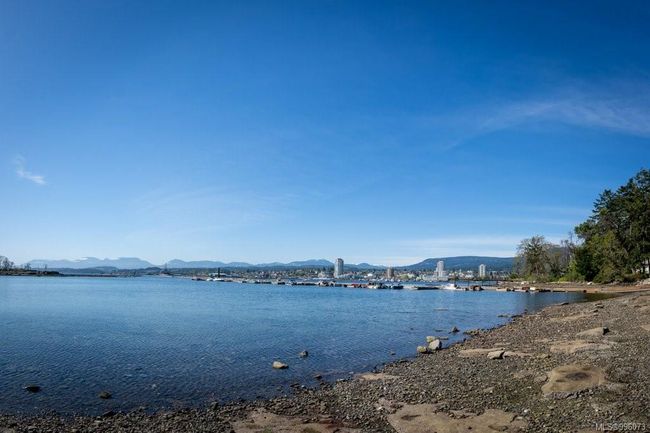 Protection Island | Image 9