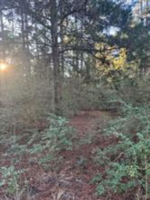 107 Lake Point Way, Bastrop, TX, 78602-5722 | Card Image