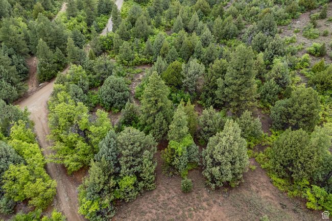 Aerial view | Image 6