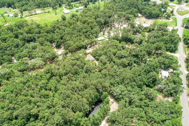 Lot 15 Blue Creek Rd, Home with 0 bedrooms, 0 bathrooms and null parking in Ponce De Leon FL | Image 11