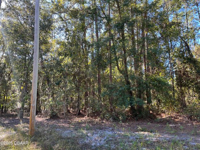 125 E Boundary Dr, Home with 0 bedrooms, 0 bathrooms and null parking in GEORGETOWN FL | Image 4