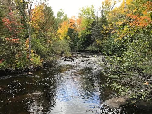 415-a-ON River Rd, Mellen, WI, 54546 | Card Image