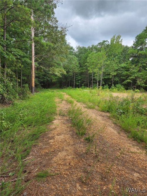 3665 Ward Boyd Dr, Duncanville, AL, 35456-1965 | Card Image