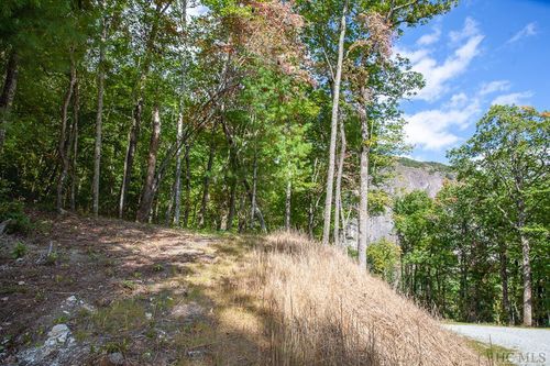 156 Lonesome Valley Rd, Sapphire, NC, 28774 | Card Image