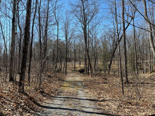 185 Julian Lake Rd, North Kawartha, ON, K0L | Card Image
