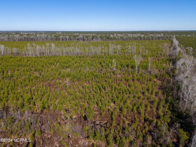00 Sykes Town Rd, Home with 0 bedrooms, 0 bathrooms and null parking in Currie NC | Image 17