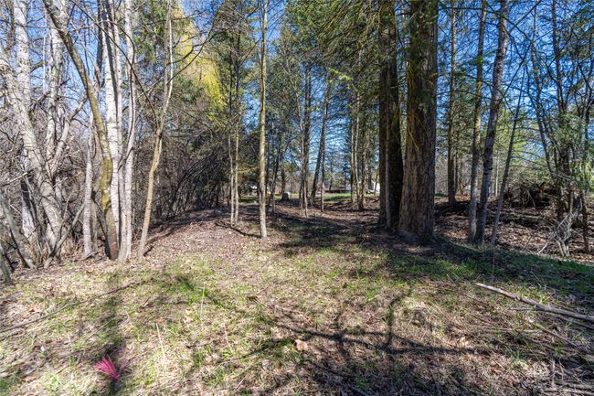 375 College Ave, Home with 0 bedrooms, 0 bathrooms and null parking in Kalispell MT | Image 12