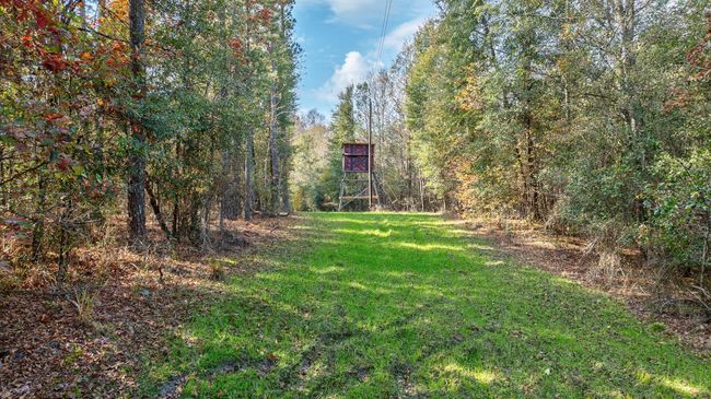 38-web-or-mls-38 | Image 8