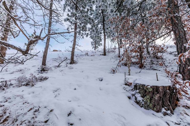 Lot 3 Niobrara Dr, Home with 0 bedrooms, 0 bathrooms and null parking in Whitewood SD | Image 9