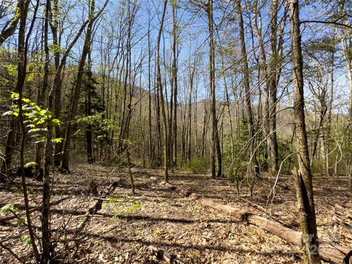 80-Lot 80 Shangri Ln, Cherokee, NC, 28719 | Card Image