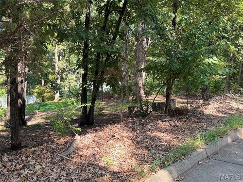 00 Sylvan Drive, Poplar Bluff, MO, 63901 | Card Image
