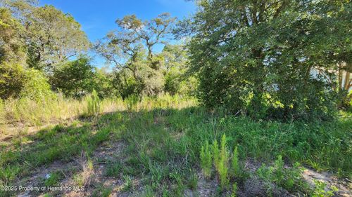 12501 Centennial St, SPRING HILL, FL, 34609 | Card Image