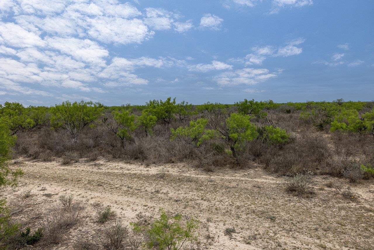 Land in Del Rio 5