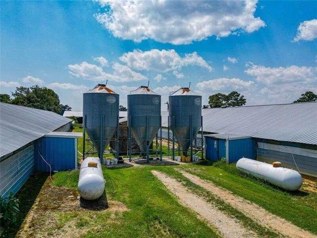 204 George Rd Sw, Home with 0 bedrooms, 0 bathrooms and null parking in Cave Spring GA | Image 21
