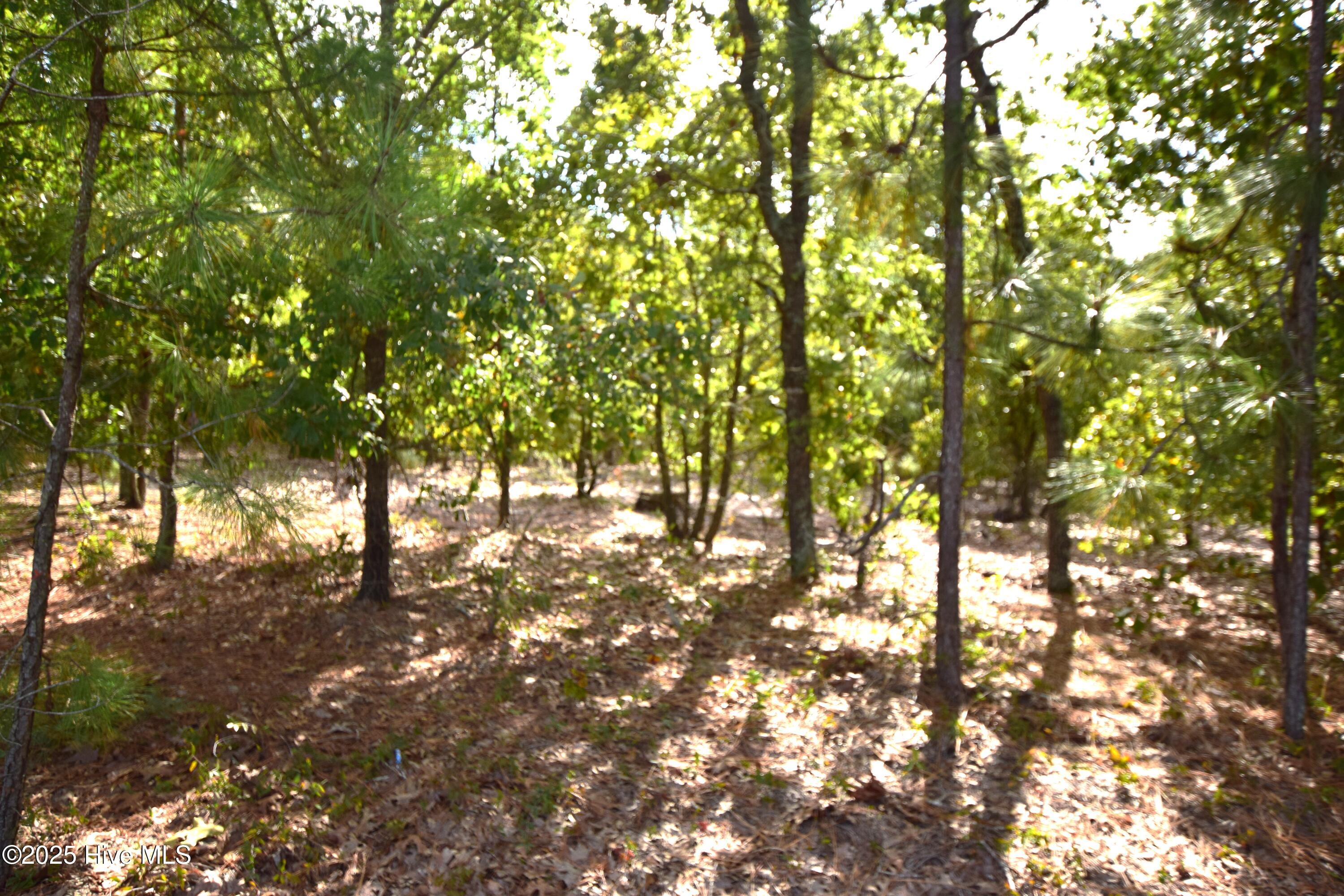 Land in Jackson Springs 4