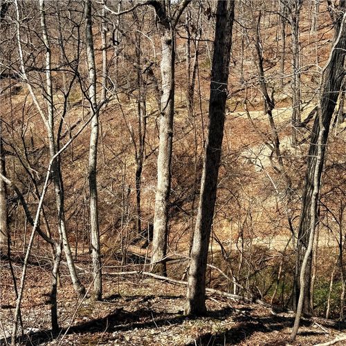 Lot 8 Sheffield Dr, Bella Vista, AR, 72714-2105 | Card Image