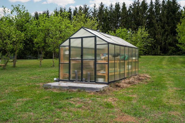 Green house | Image 47