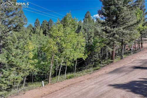 282 Pinon Lake Drive, Divide, CO, 80814 | Card Image